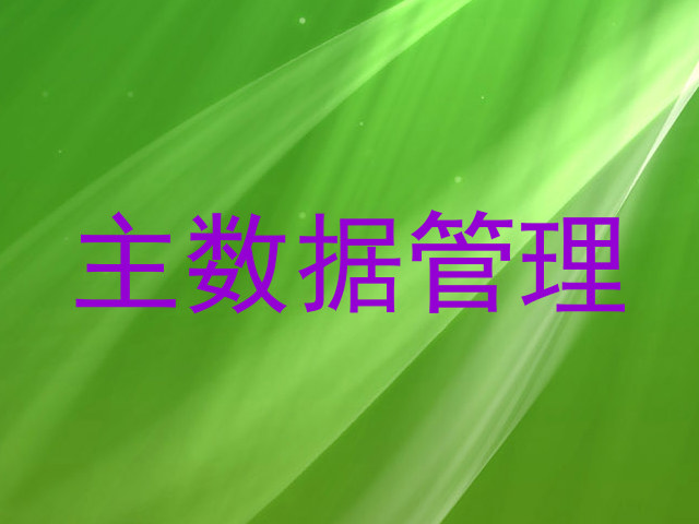 主数据管理