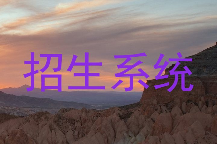 招生系统