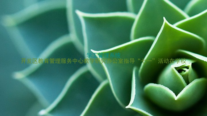 学工管理系统