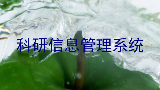 科研信息管理系统