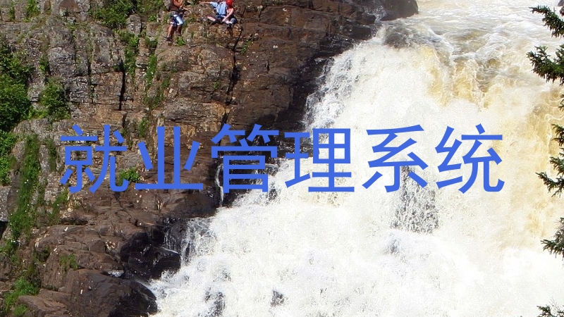 就业管理系统