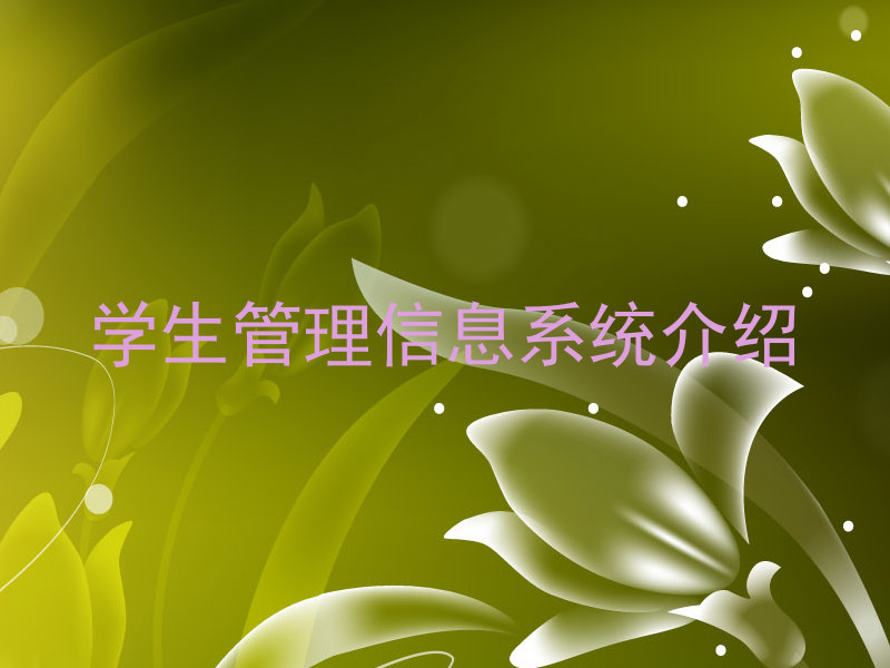 学生管理信息系统介绍