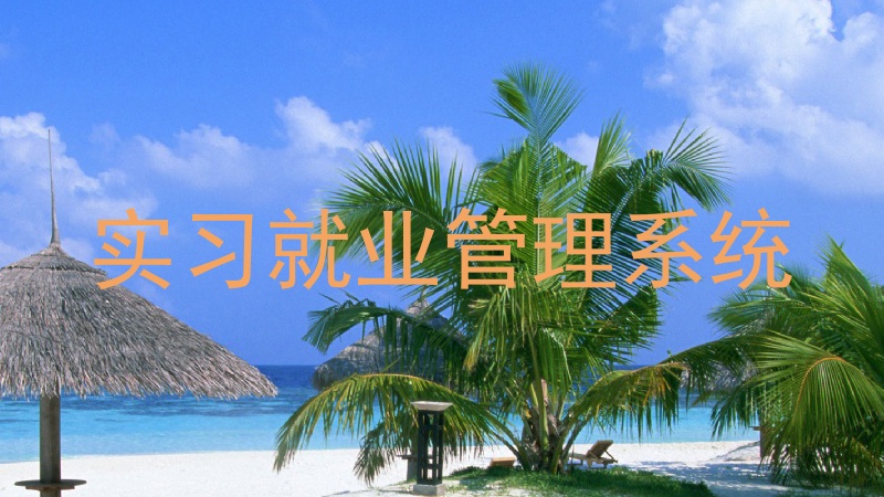 实习就业管理系统
