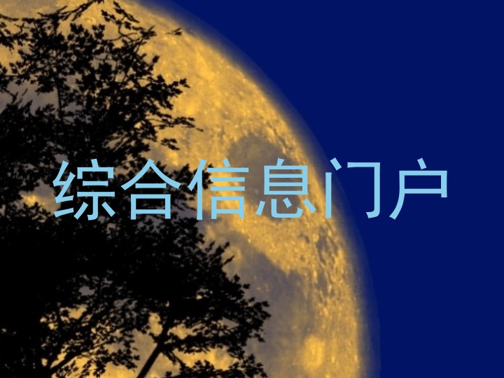 綜合信息門戶