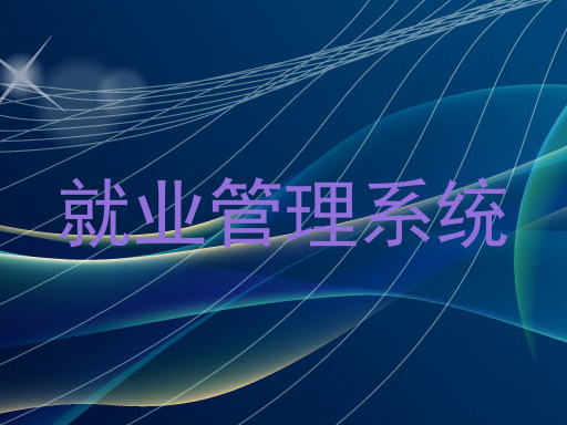 就业管理系统