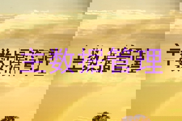 主数据管理