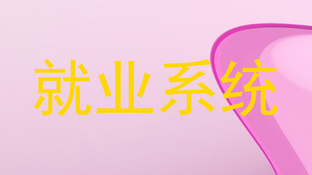 就业系统