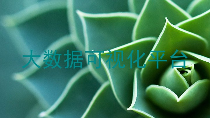 大数据可视化平台