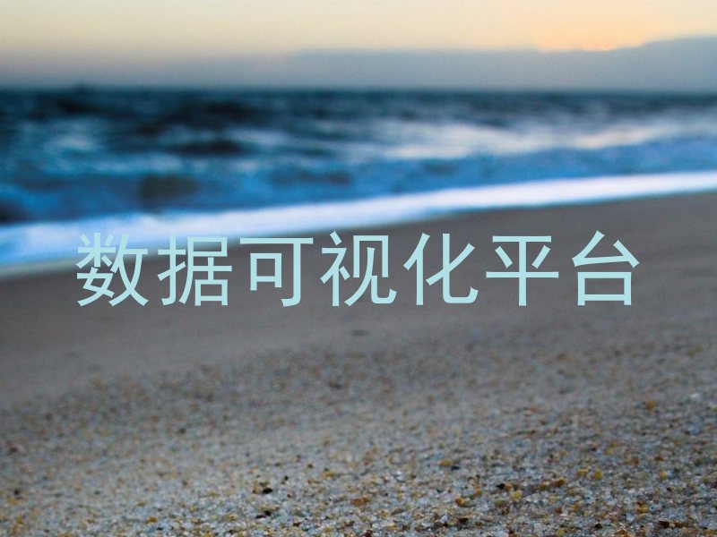 数据可视化平台