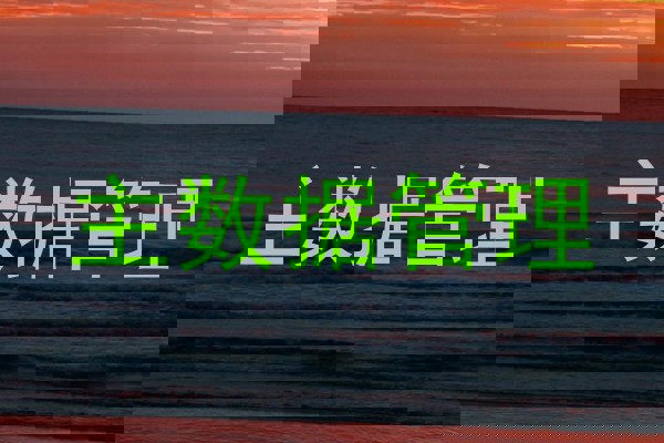 主数据管理