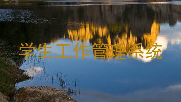 学生工作管理系统