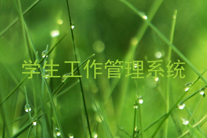 学生工作管理系统