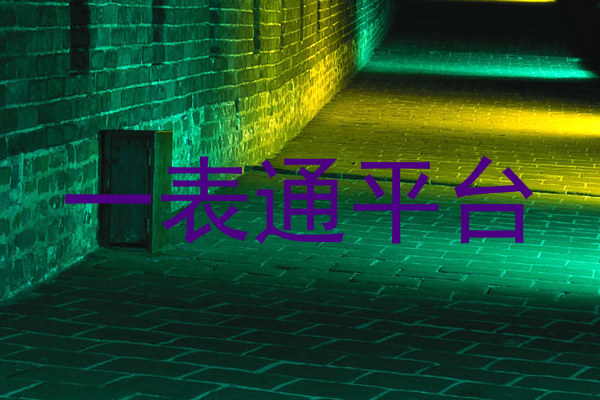 一表通平台