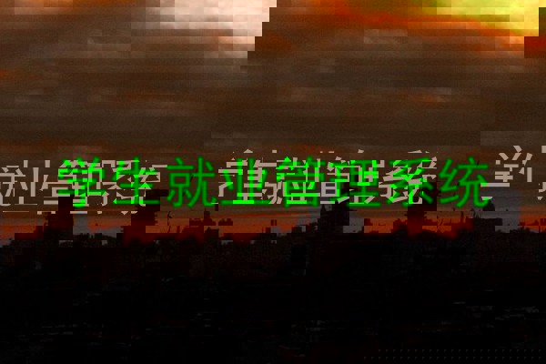 学生就业管理系统