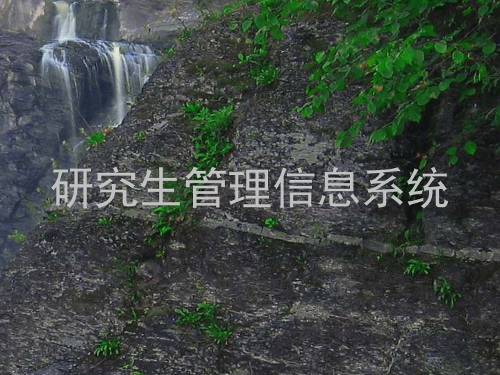 研究生管理信息系统