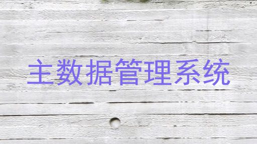 主数据管理系统