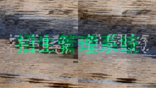招生管理系统