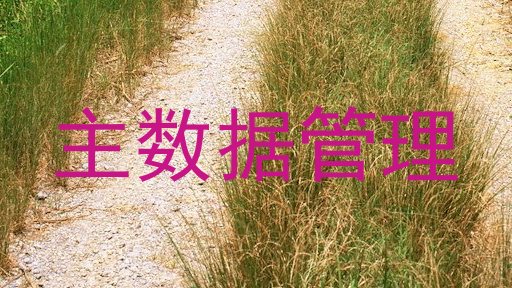 主数据管理