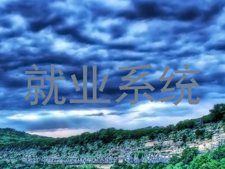 就业系统