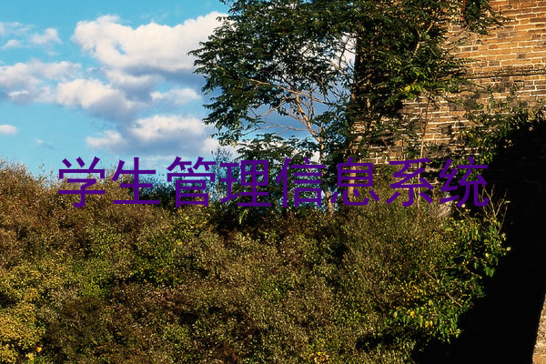 学生管理信息系统