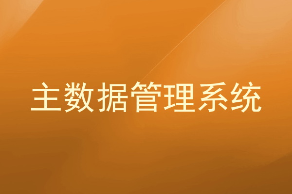 主数据管理系统