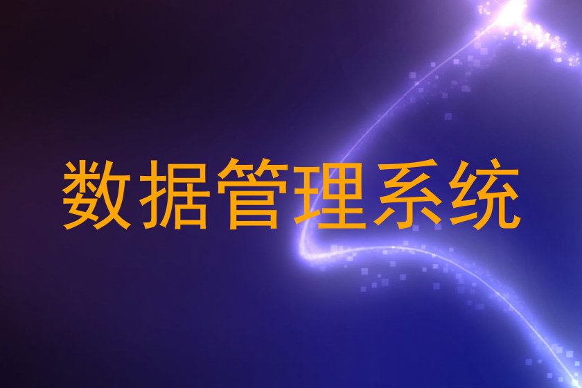 数据管理系统