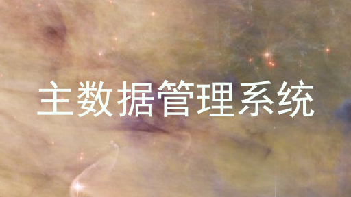 主数据管理系统
