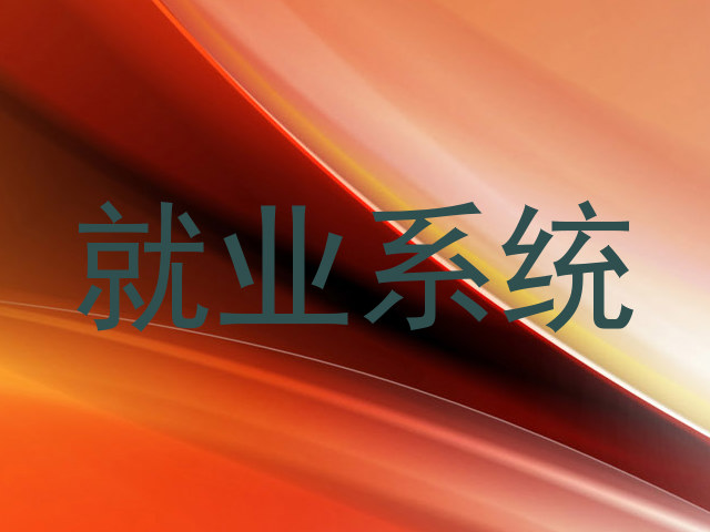 就业系统