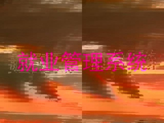就业管理系统