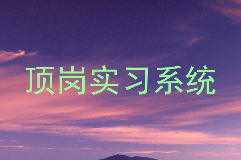 顶岗实习系统
