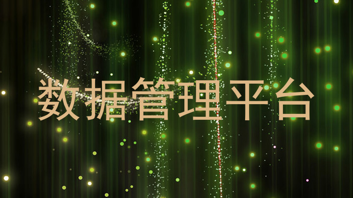 数据管理平台