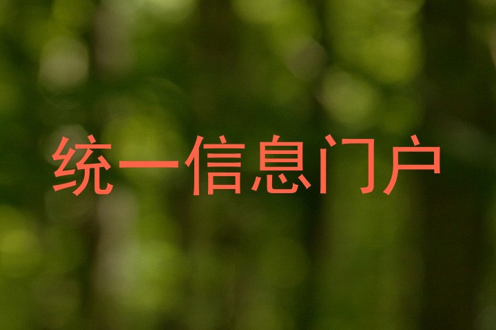 统一信息门户