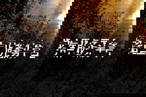 招生服务平台