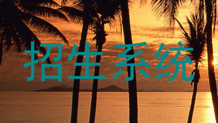 招生系统