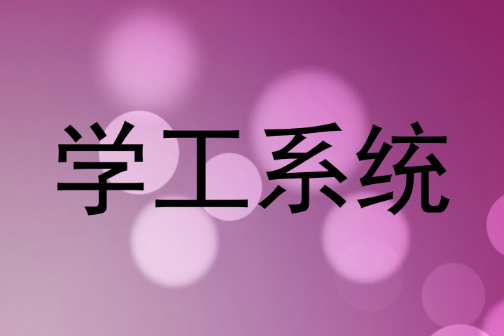 学工系统