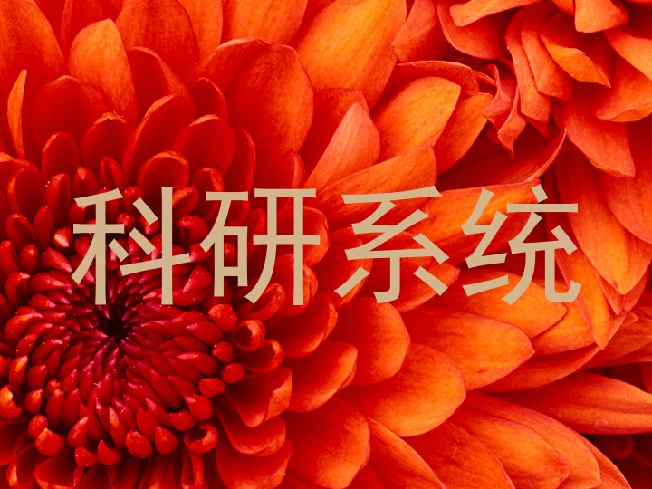 科研系统