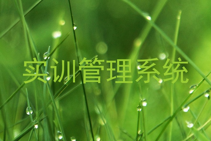 实训管理系统