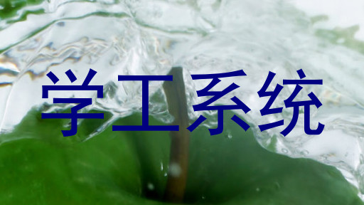 学工系统
