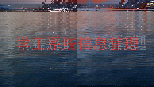 学工系统信息管理