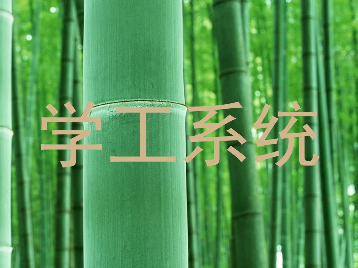 学工系统