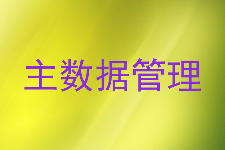 主数据管理