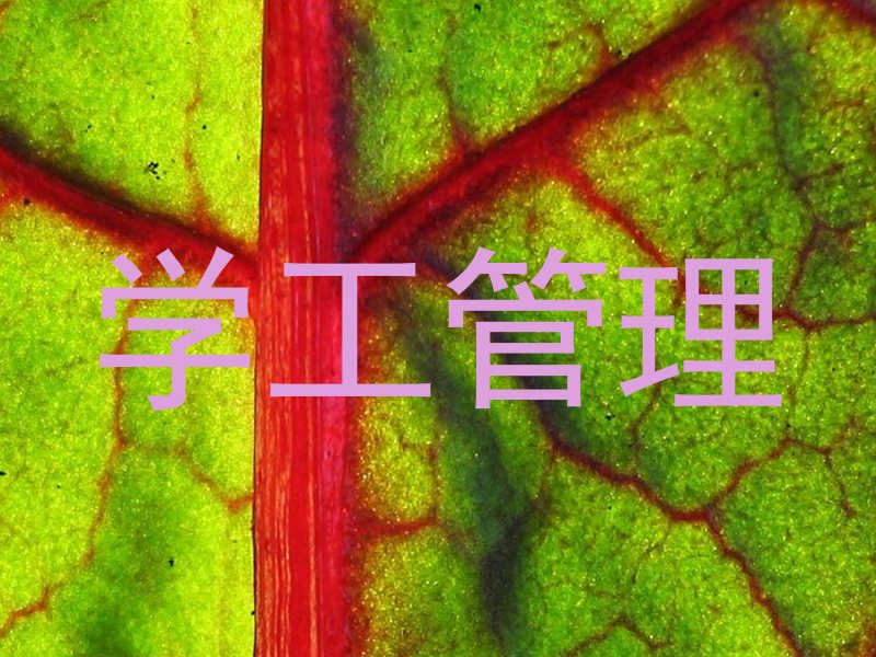 学工管理