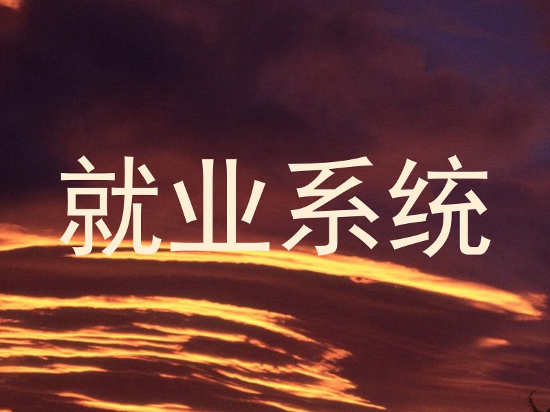 就业系统