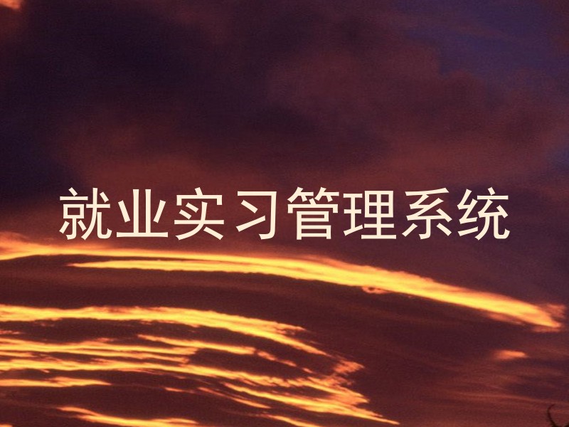 就业实习管理系统