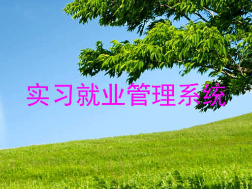 实习就业管理系统