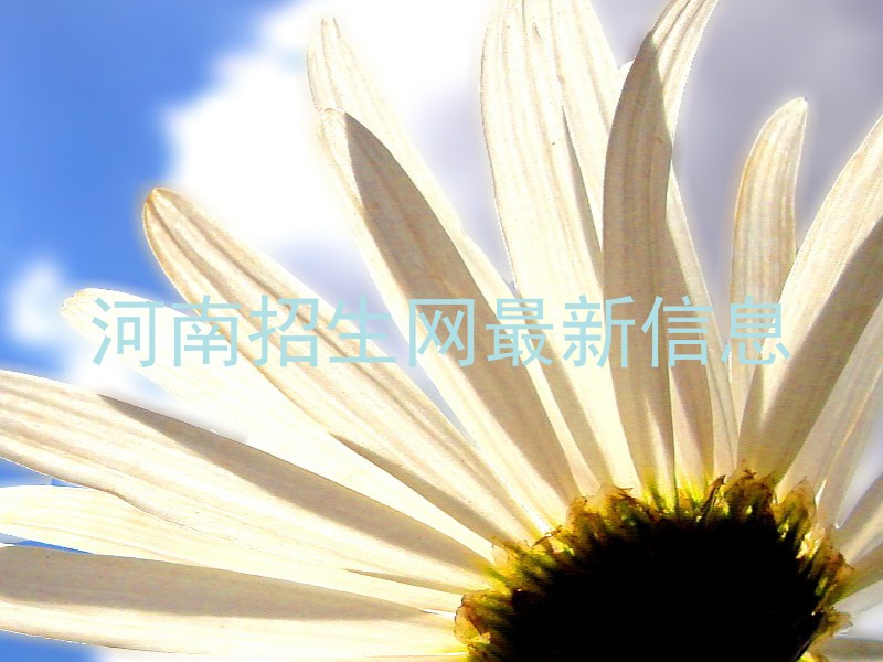 河南招生网最新信息