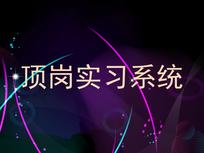顶岗实习系统
