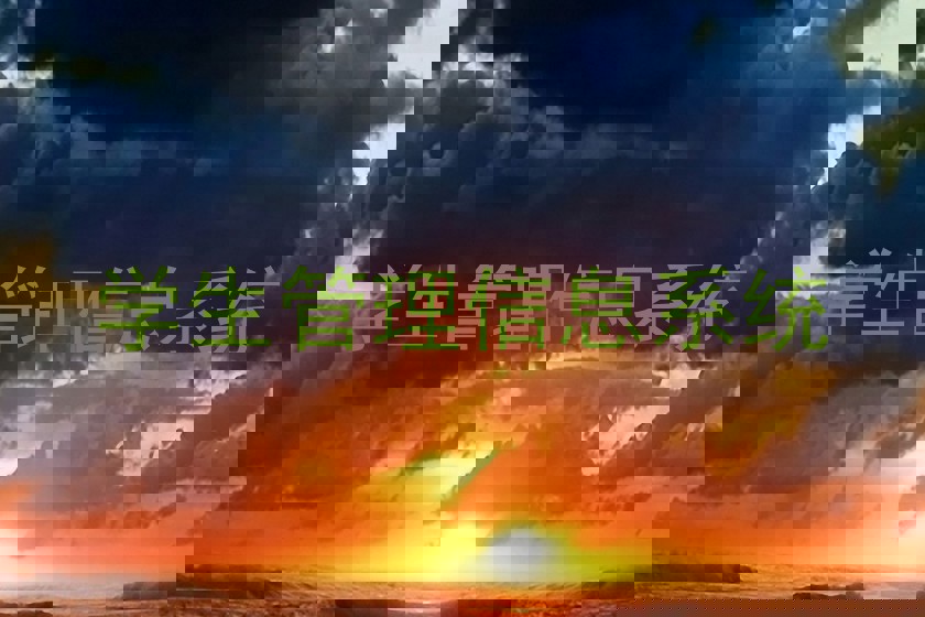 学生管理信息系统