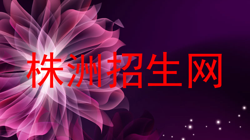 株洲招生网