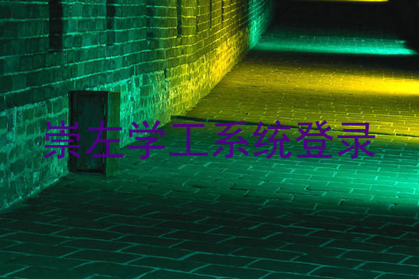 崇左学工系统登录
